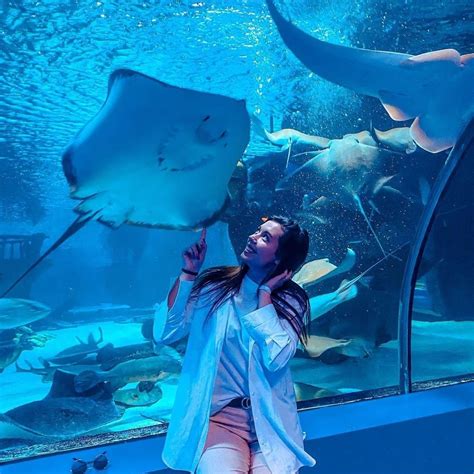 Antalya Aquarium Tour Official Ticket Sales Easy Online Booking