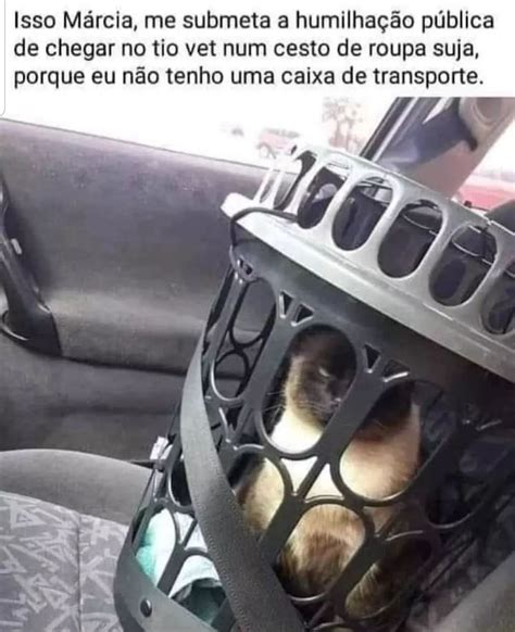 Kkkkkk Tadinho Em Fotos De Memes Engra Adas Videos Engra Ados