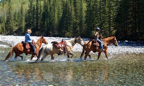 Crested Butte Horseback Riding Horse Trail Rides Alltrips