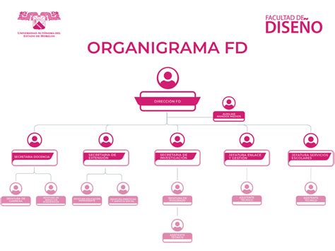 Organigrama Facultad de Diseño UAEM