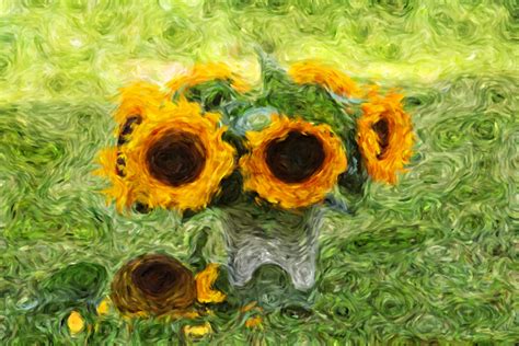 Van Gogh Sunflower Poster Free Stock Photo - Public Domain Pictures