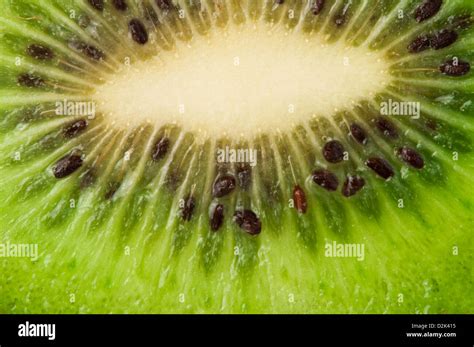 Kiwi Fruit Close Up Background Cut Kiwi Fruit Stock Photo Alamy