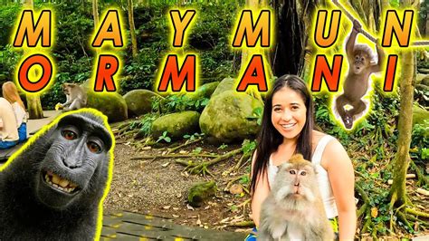 KUTSAL MAYMUN ORMANI SELFİE MONKEY FOREST UBUD BALİ ENDONEZYA