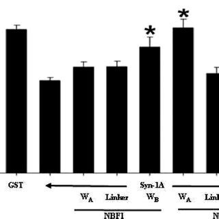 Syntaxin A Inhibits Rat Pancreatic Islet Cell K Atp Channel Activity