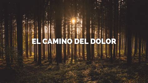 El Camino Del Dolor Procesar Los Duelos Desde El Budismo Youtube