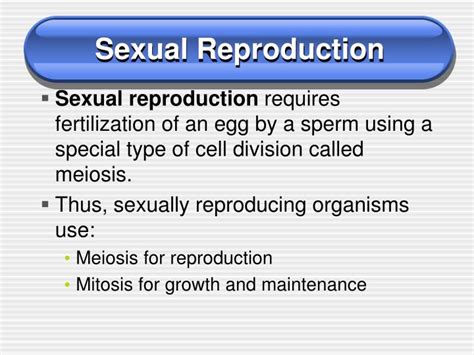 Ppt Chapter 8 Cell Reproduction Powerpoint Presentation Id 1110921