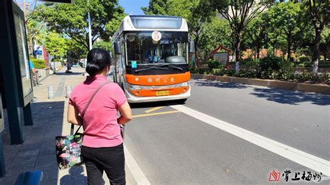 优化公交路线方便市民出行市交通运输局快速回应市民关切