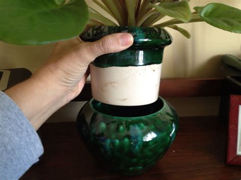 african violet flower pots 4