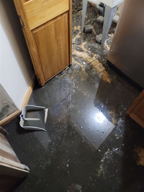 Best Emergency Raw Sewage Damage Cleanup Service In NYC