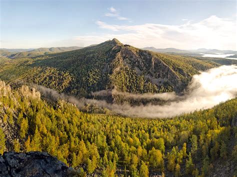 Айгир башкирия - фото и картинки: 70 штук