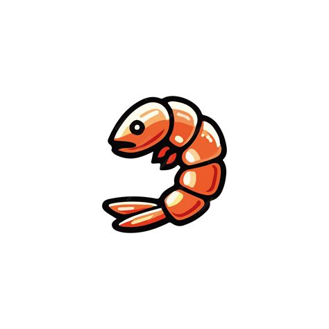 Premium Vector Shrimp