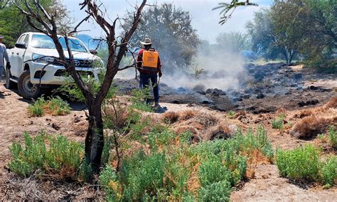 Activos Cuatro Incendios Forestales En Slp