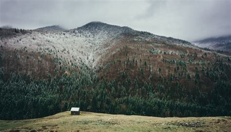 Bildet Landskap Natur Skog Villmark Fjell Vinter Landsbygda