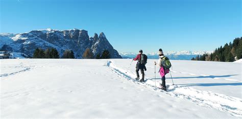 Dolomites Winter Hiking And Sledding Experience With Guide