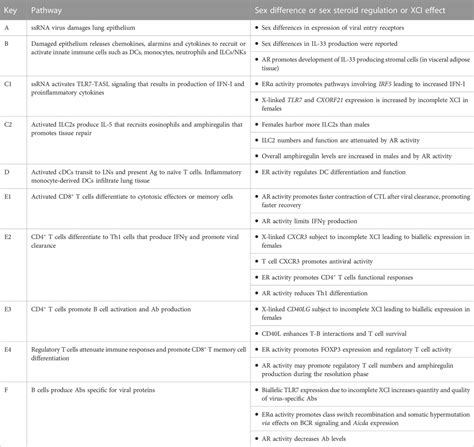 Frontiers Sex Chromosome Complement And Sex Steroid Signaling