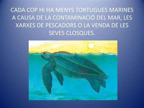 Les Tortugues Marines Ppt