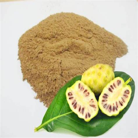 Brown Noni Extract Morinda Citrifolia Extract Packaging Size 5 10