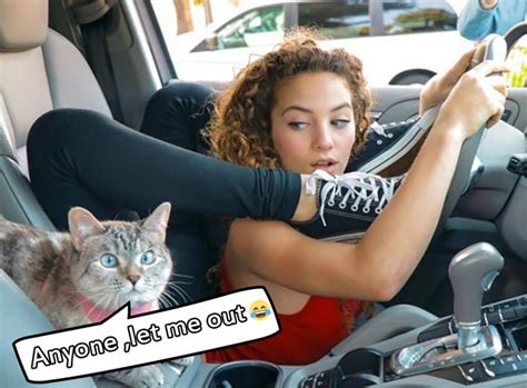 Pin By Grace Neadow On Animals Memes Sofie Dossi Contortion Poses