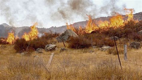 Sonora Se Han Registrado Incendios Forestales