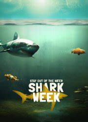 Watch Shark Week Season 30 Episode 22 Naked And Afraid Of Sharks