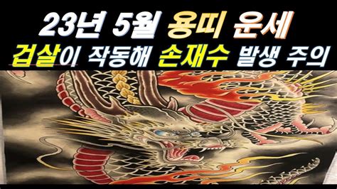 용띠 5월 운세2023년 5월정사월용辰띠들은 특별히 손재수와 투자 거래 매매를 주의해야 하는 이유 행운