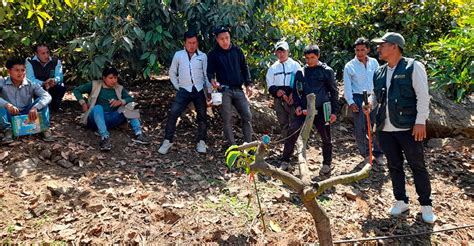 Ancash Productores de Pamparomás se capacitan en manejo de cultivo de