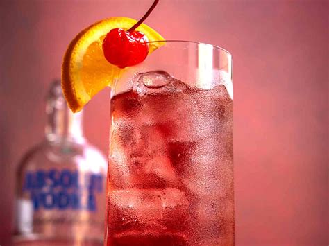 Homemade Sex On The Beach Cocktail Recipe Recipe Dinner Then Dessert