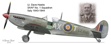 Spitfire Lz Of Saaf No Squadron Flown By Dave Hastie Dave S