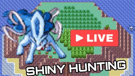 Shiny Hunting Suicune In Pokemon Emerald Live Live Pokemon Noob