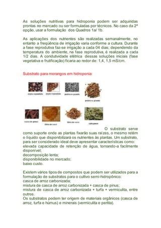 Cultivo De Morangos PDF