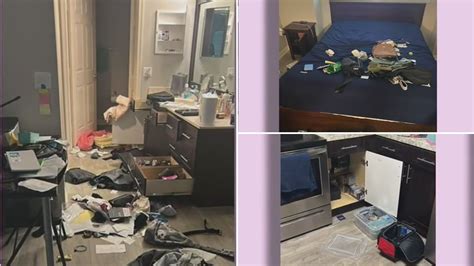 Delincuentes Roban Un Apartamento En Un Condominio En Broward Y Todo A