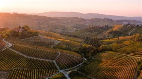 Agricoltura Conservativa Digitale E Di Precisione La Parola Alla