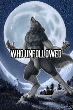 Wolf Memes Ideas In Memes Alpha Werewolf Silly Images