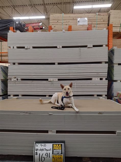 Home Depot is his favorite place. : r/HomeDepot