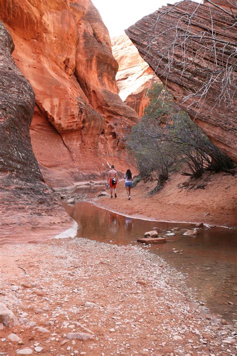 Red Cliffs Red Reef Hike Leeds Utah See Jane Blog