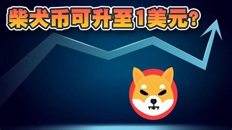 柴犬币可升上1美元？柴犬币始创人：市值可达1000亿美元｜cryptonews Youtube