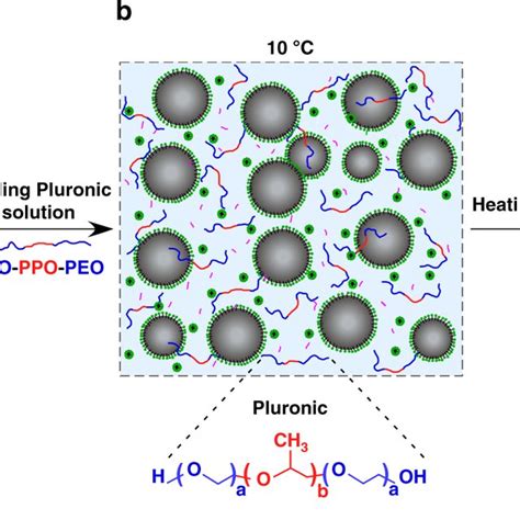 Schematic Diagram Of The Nanoemulsion System And Hypothesized Gelation