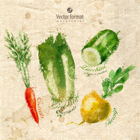 Vegetables Vector Format Stock Vector By Sergeypykhonin