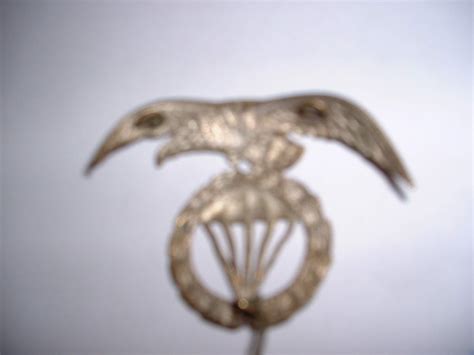 German (Paratrooper?) Insignia