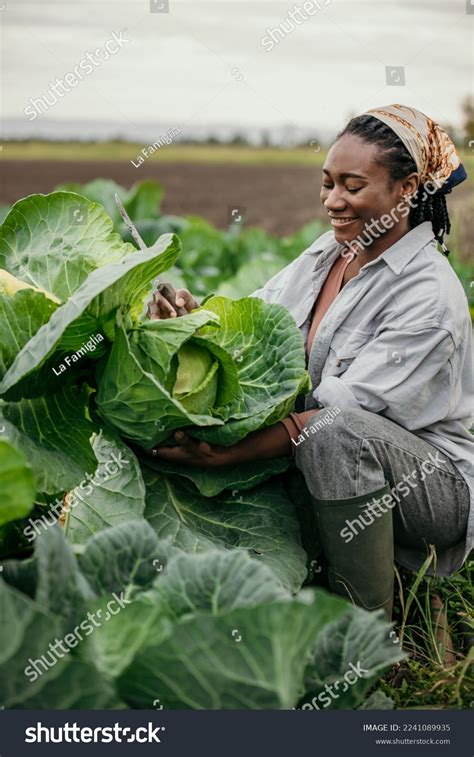 10,451 African Harvesting Crops Images, Stock Photos, 3D objects, & Vectors | Shutterstock