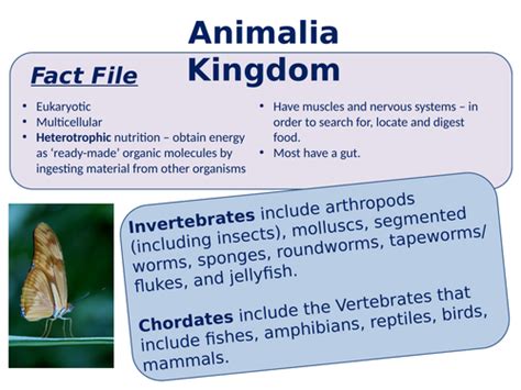 New Aqa Gcse Trilogy 2016 Biology Classification Teaching Resources