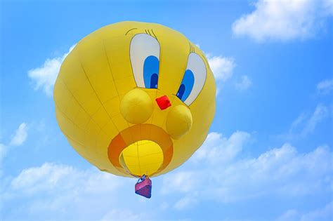 Tweety Bird Hot Air Balloon Photograph By Nikolyn McDonald Fine Art
