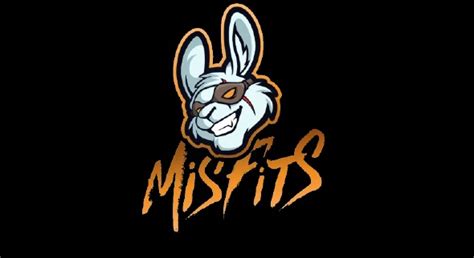 Misfits Claim Victory Over Fnatic At The Dreamhack Winter Overwatch