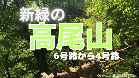 【新緑の高尾山】新緑の高尾山を散策しました。自然豊かな6号路を登り、吊り橋のある4号路で下ります。へっぽこ登山日記112 Youtube