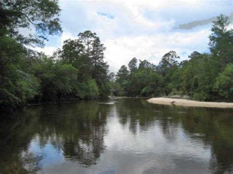 Blackwater River, FL Panhandle. Kayak, Canoe. E-Z Map, Photos.