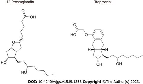 Hepatic Ischemia Reperfusion Syndrome And Its Effect On The