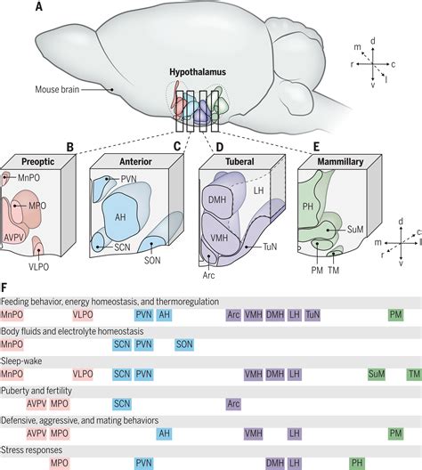 The Structural And Functional Complexity Of The Integrative