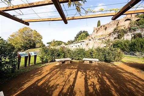 Il Parco Archeologico Del Colosseo Diventa Un Oasi Antismog