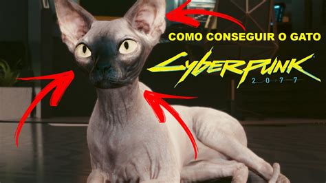 A FORMA MAIS FÁCIL DE DOMESTICAR O GATO EM CYBERPUNK 2077 YouTube