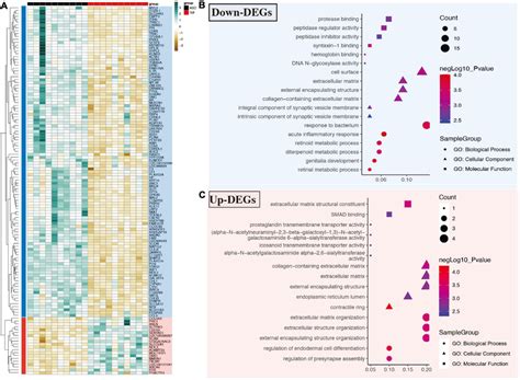 Differential Expressed Genes And Gene Ontology Go Analysis In Download Scientific Diagram